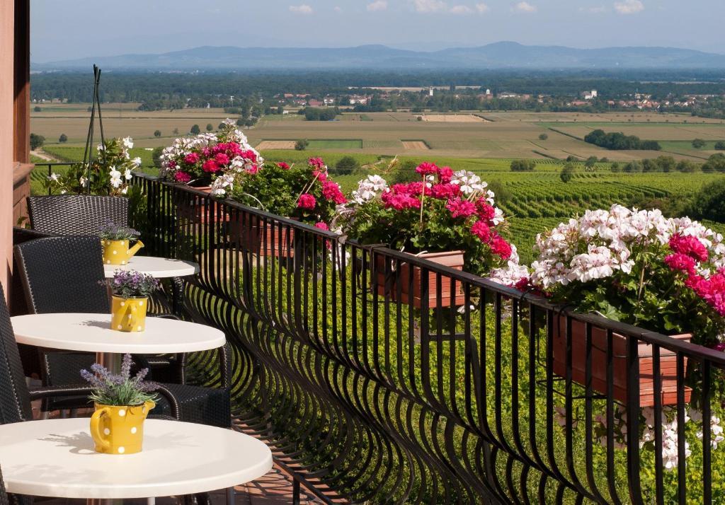 Hotel Restaurant Au Riesling 3*